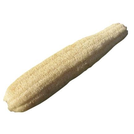 Luffa Naturelle